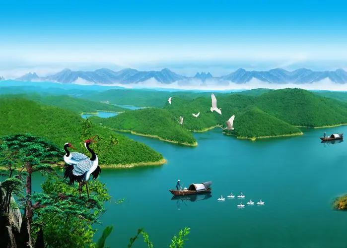 高端全自动创新